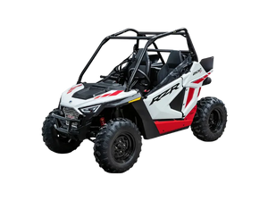 RZR 200