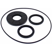 ALL BALLS DIFFERENTIAL KIT- Polaris - Image 2