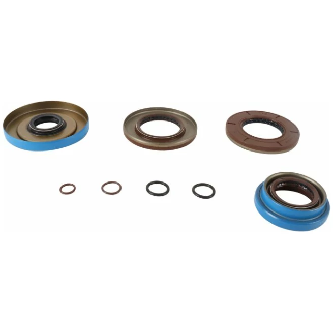 Polaris Transaxle Bearing and Seal Kit- All Balls - Image 5