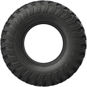 EFX MOTORALLY TIRE - Image 2